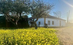 Qta Casa Seleiras - Guest House